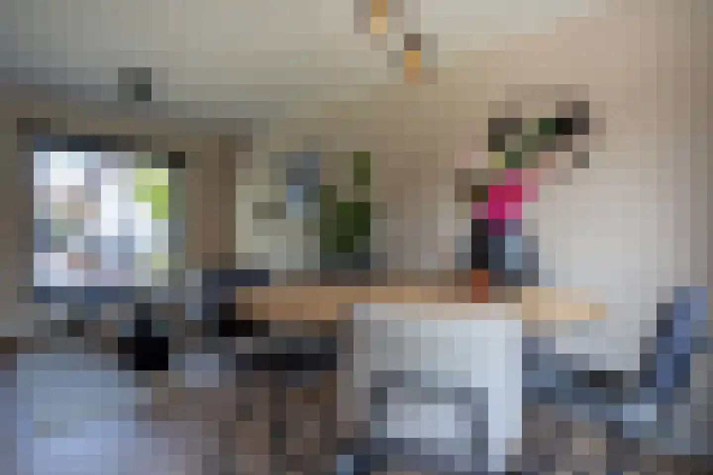 Burgemeester Bosmaweg 5 Ruinerwold thumbnail 13