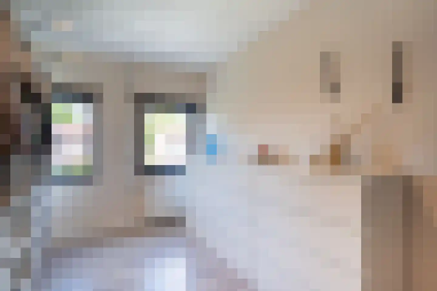 Burgemeester Bosmaweg 5 Ruinerwold thumbnail 29