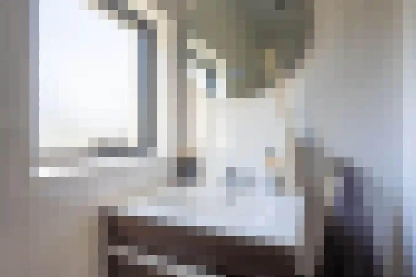 Burgemeester Bosmaweg 5 Ruinerwold thumbnail 31