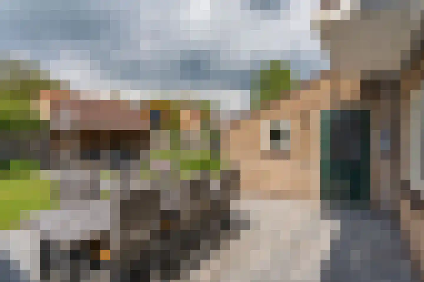 Burgemeester Bosmaweg 5 Ruinerwold thumbnail 37