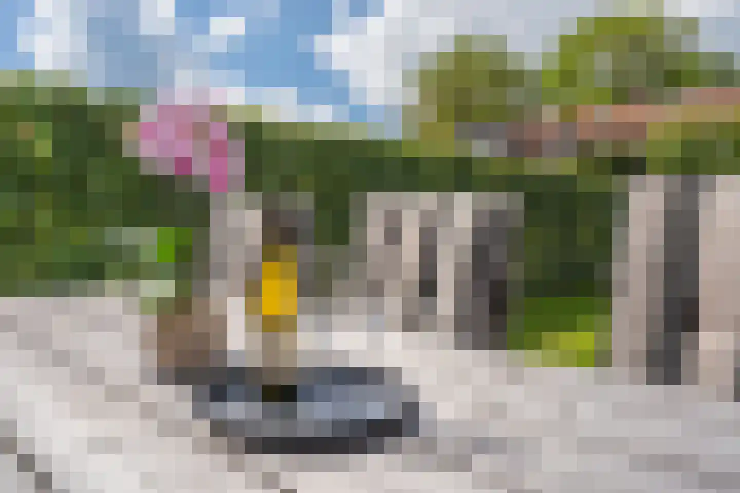 Burgemeester Bosmaweg 5 Ruinerwold thumbnail 38