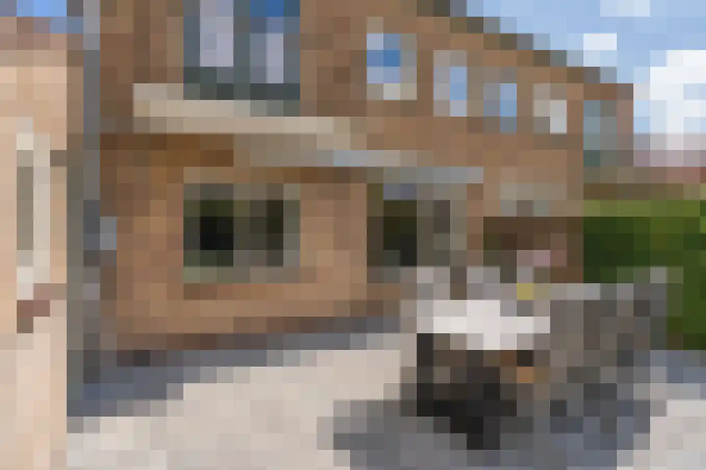 Burgemeester Bosmaweg 5 Ruinerwold thumbnail 39
