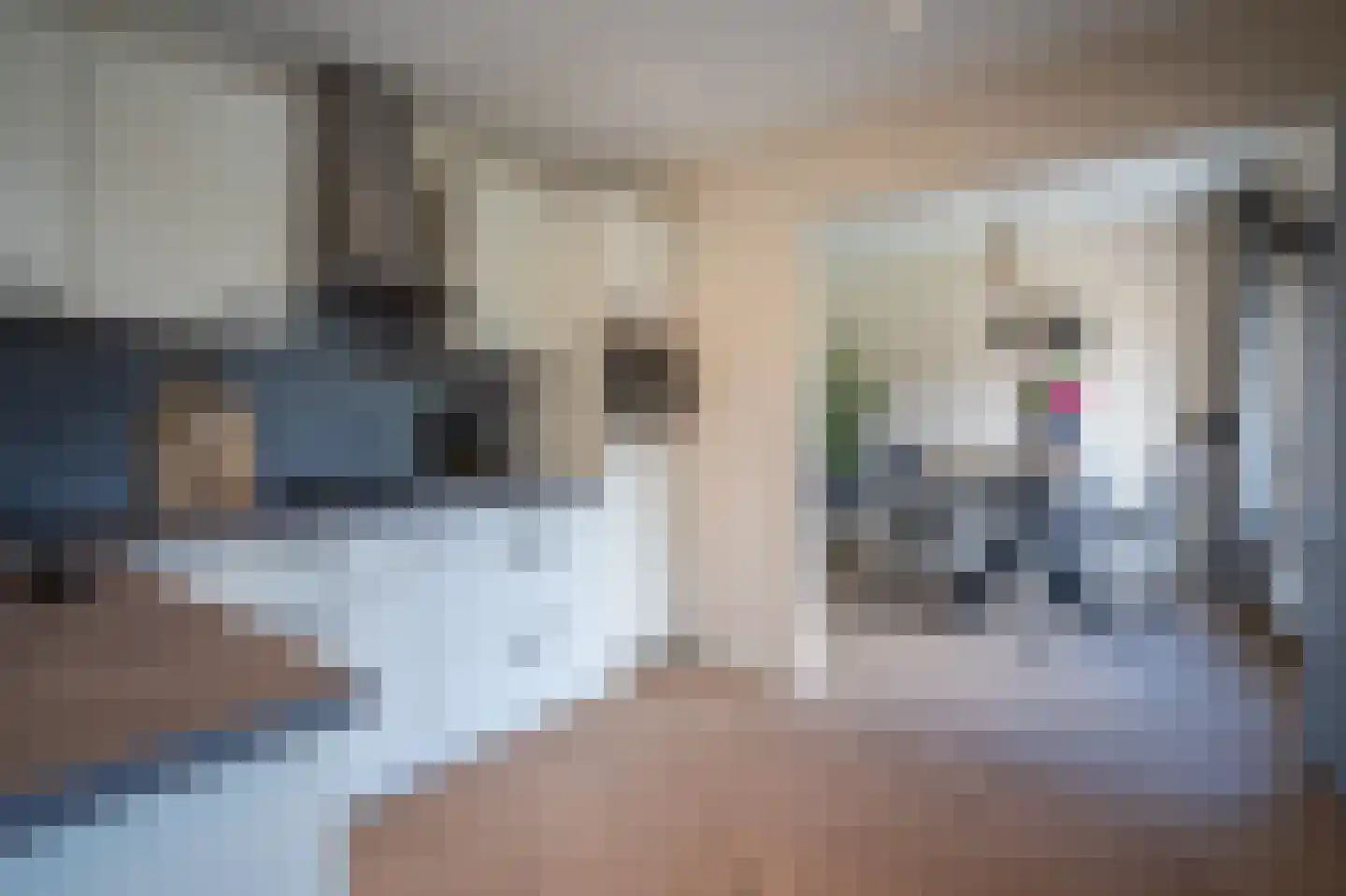 Burgemeester Bosmaweg 5 Ruinerwold thumbnail 4