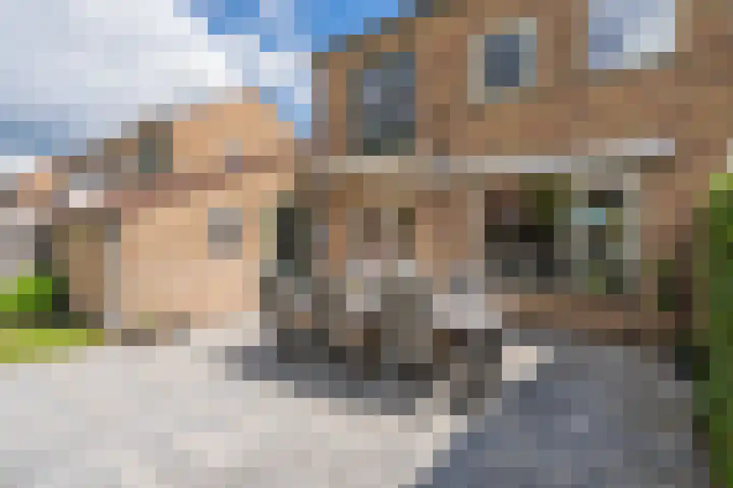 Burgemeester Bosmaweg 5 Ruinerwold thumbnail 40