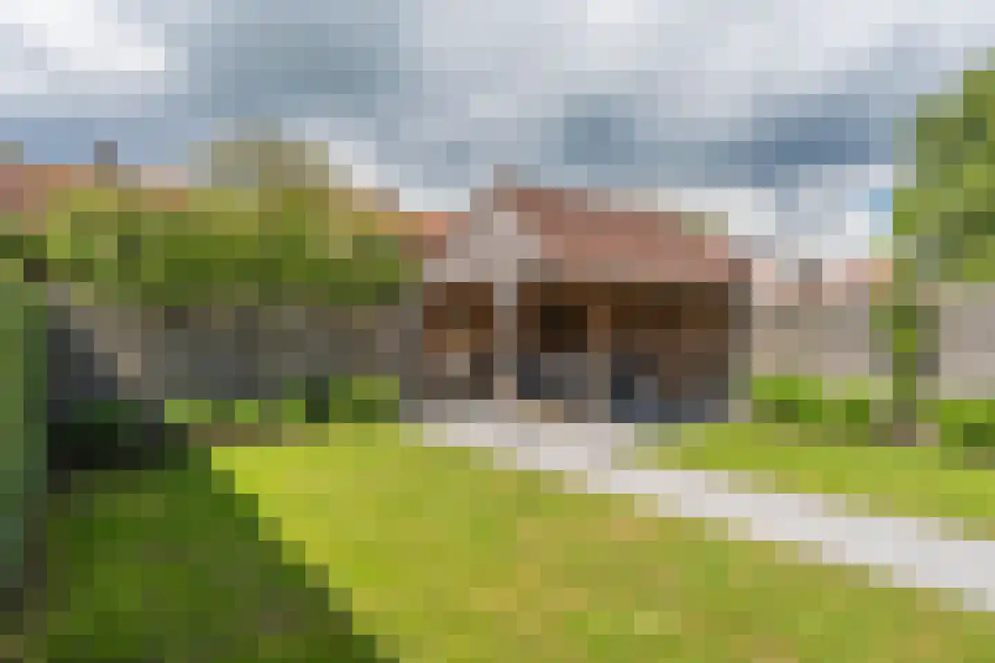 Burgemeester Bosmaweg 5 Ruinerwold thumbnail 41