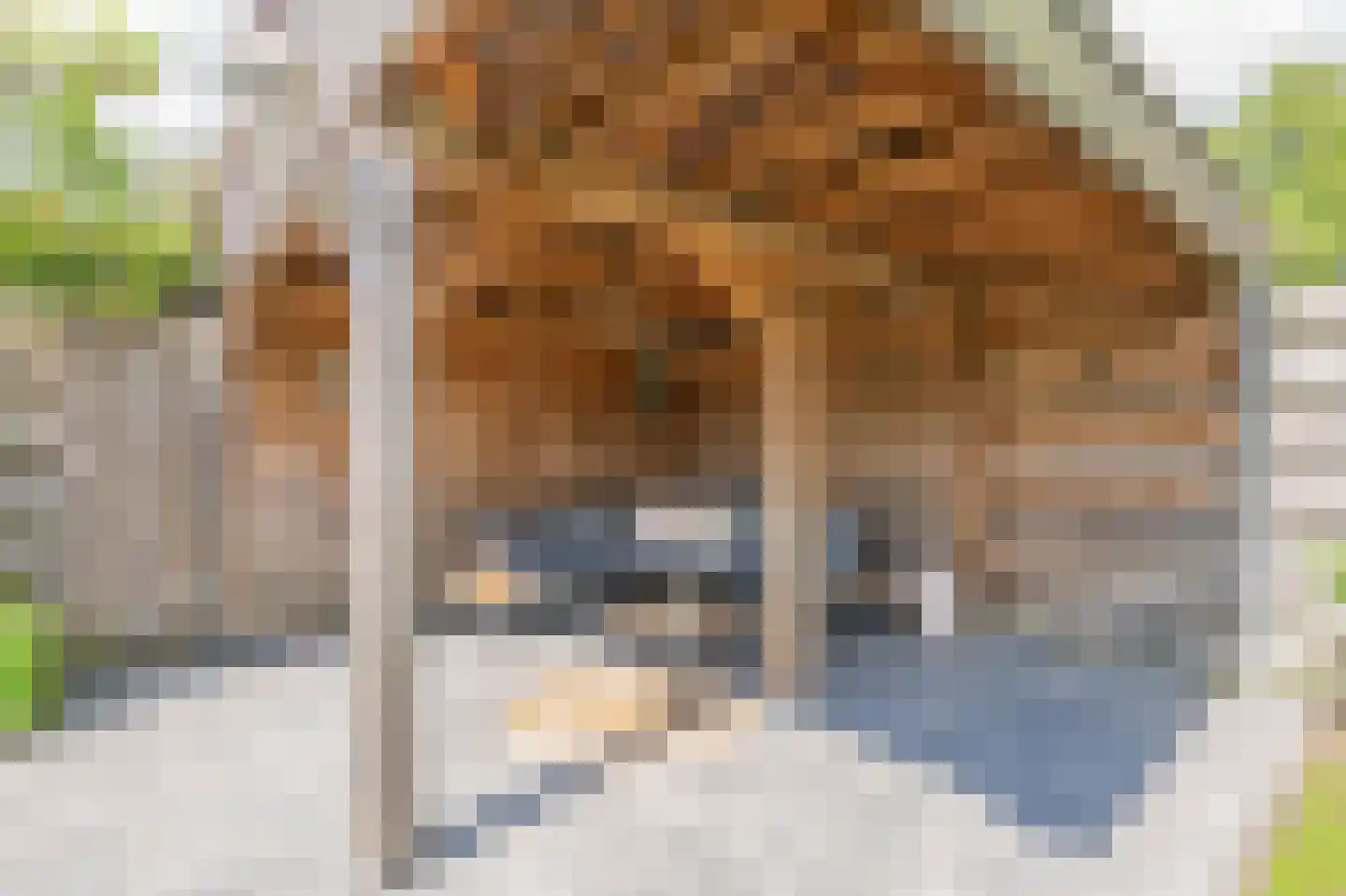 Burgemeester Bosmaweg 5 Ruinerwold thumbnail 45