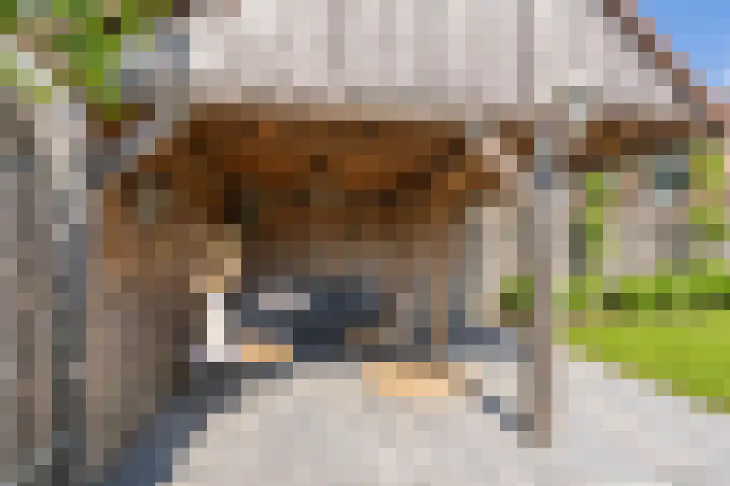 Burgemeester Bosmaweg 5 Ruinerwold thumbnail 46