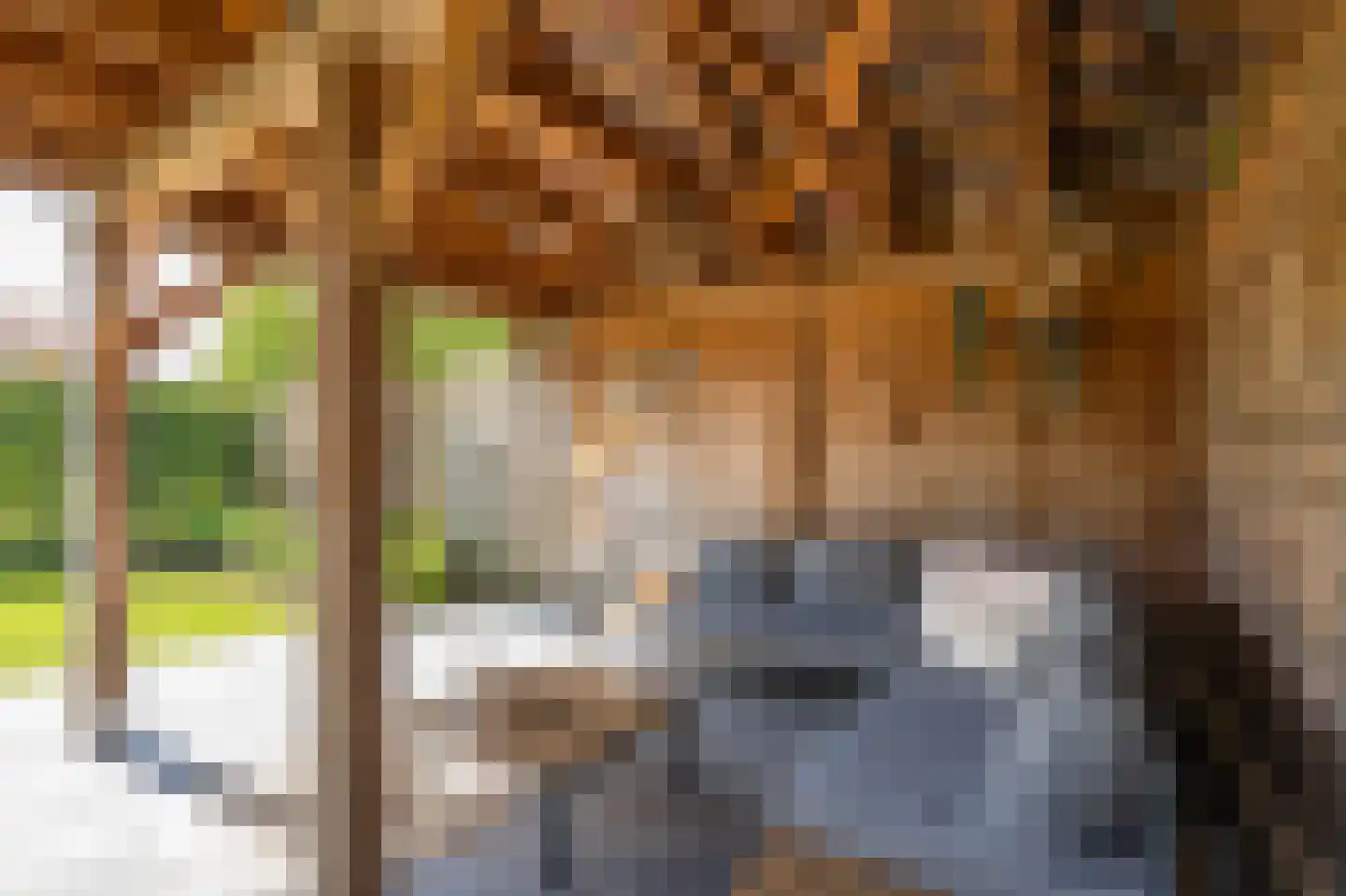 Burgemeester Bosmaweg 5 Ruinerwold thumbnail 47