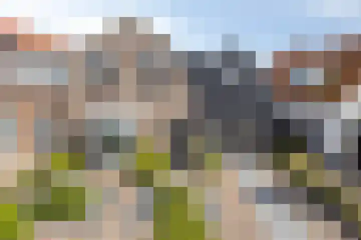 Burgemeester Bosselaarstraat 10 Aagtekerke thumbnail 61