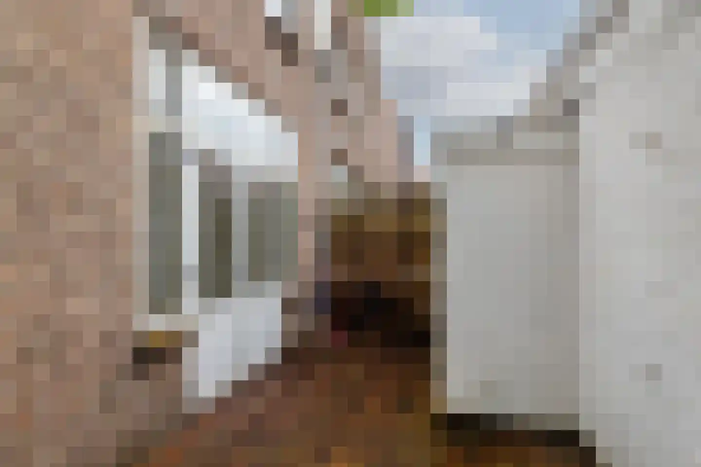 Burgemeester Bosstraat 28 Rotterdam thumbnail 38