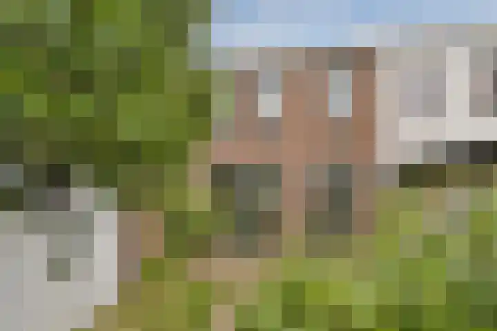 Burgemeester Bosstraat 7 Rotterdam thumbnail 13