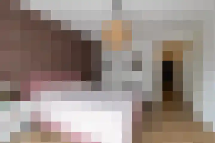 Burgemeester Boudet van Damstraat 14 Oud-Alblas thumbnail 14
