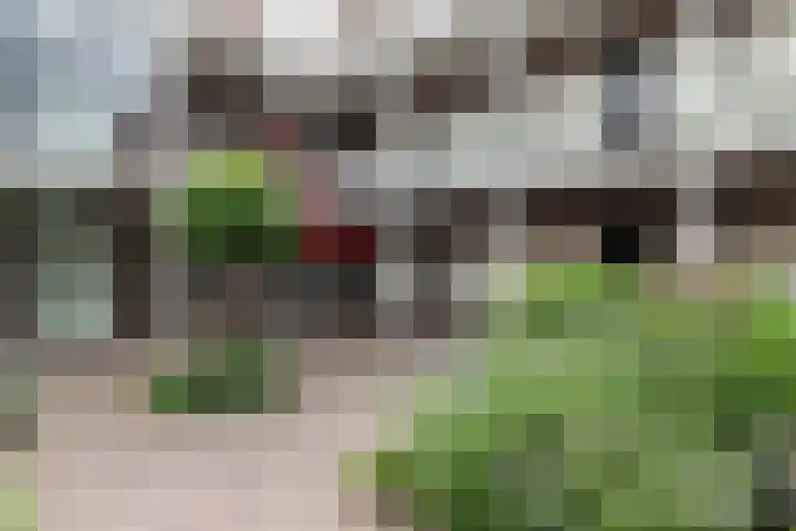 Burgemeester Boudet van Damstraat 14 Oud-Alblas thumbnail 5