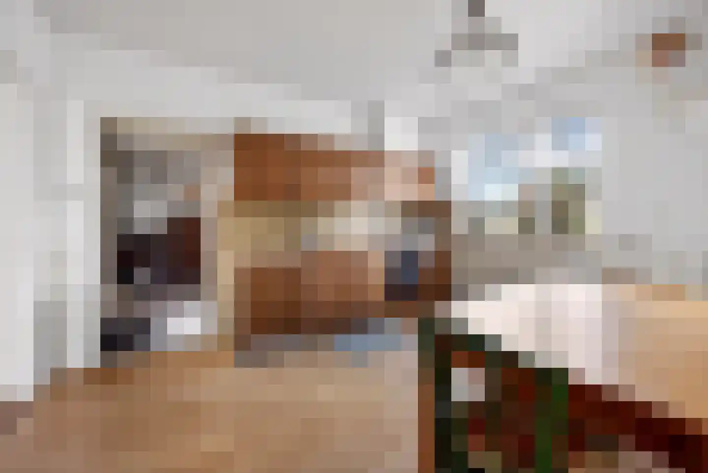 Burgemeester Bouwensweg 2 Horssen thumbnail 10