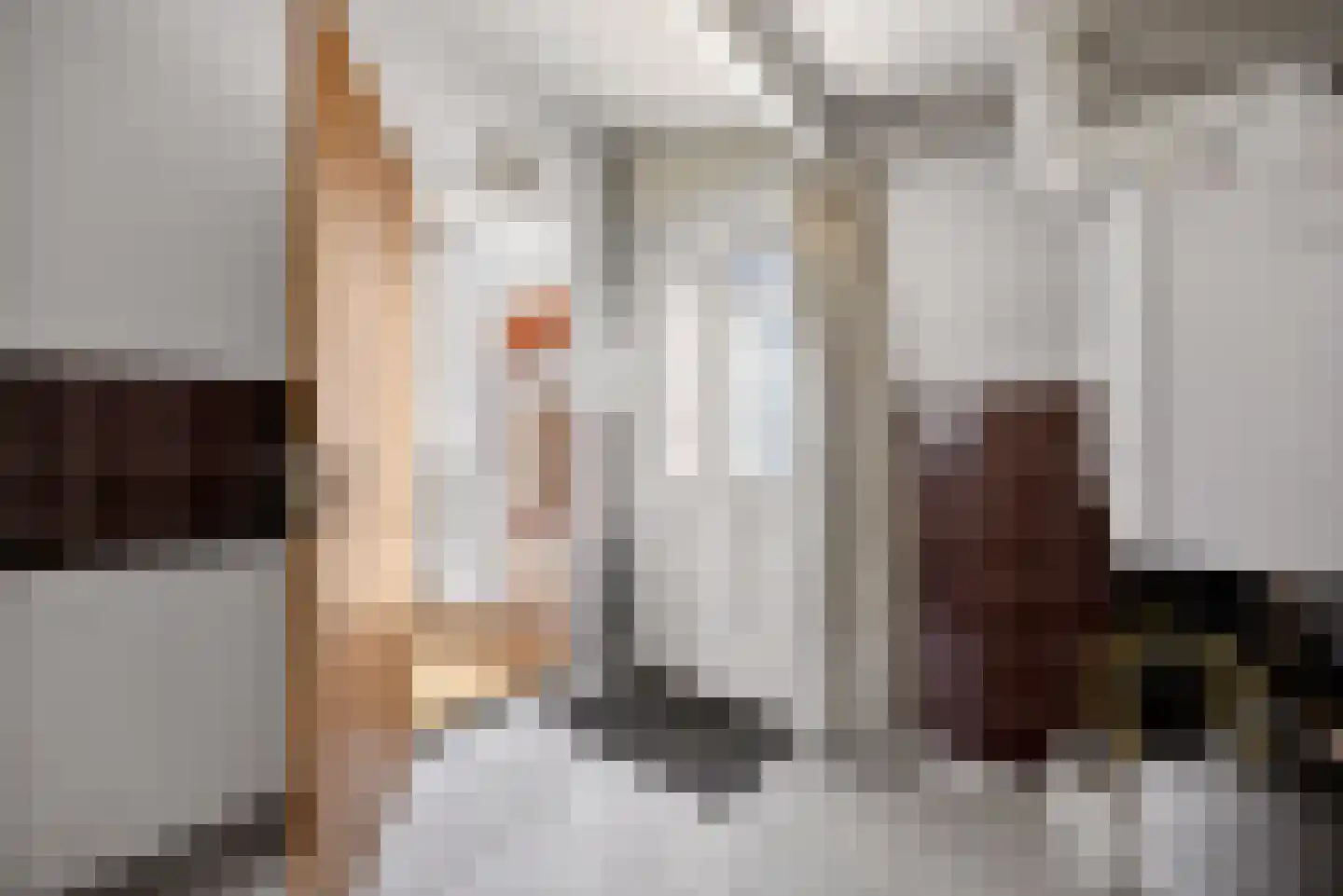 Burgemeester Bouwensweg 2 Horssen thumbnail 13