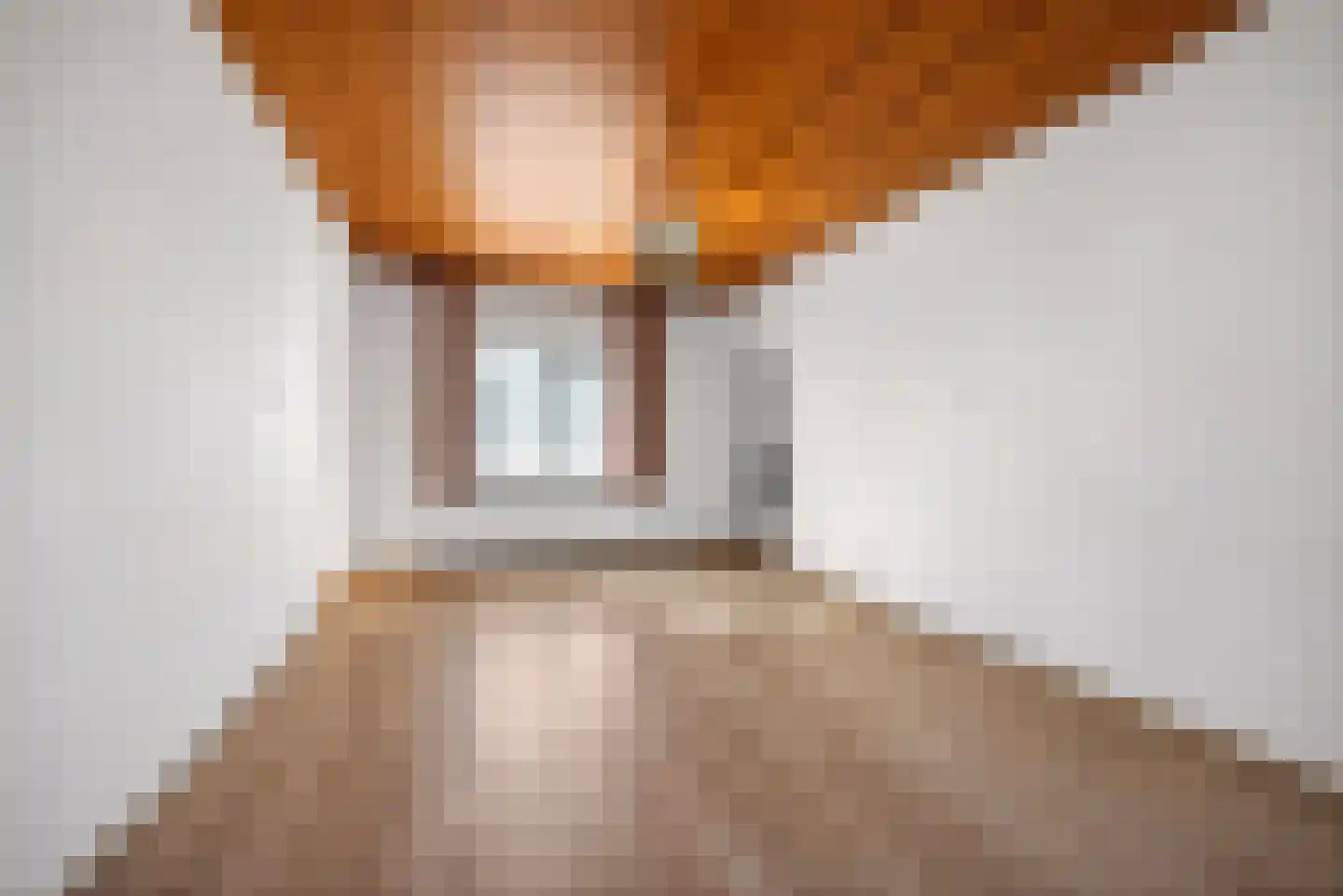 Burgemeester Bouwensweg 2 Horssen thumbnail 15