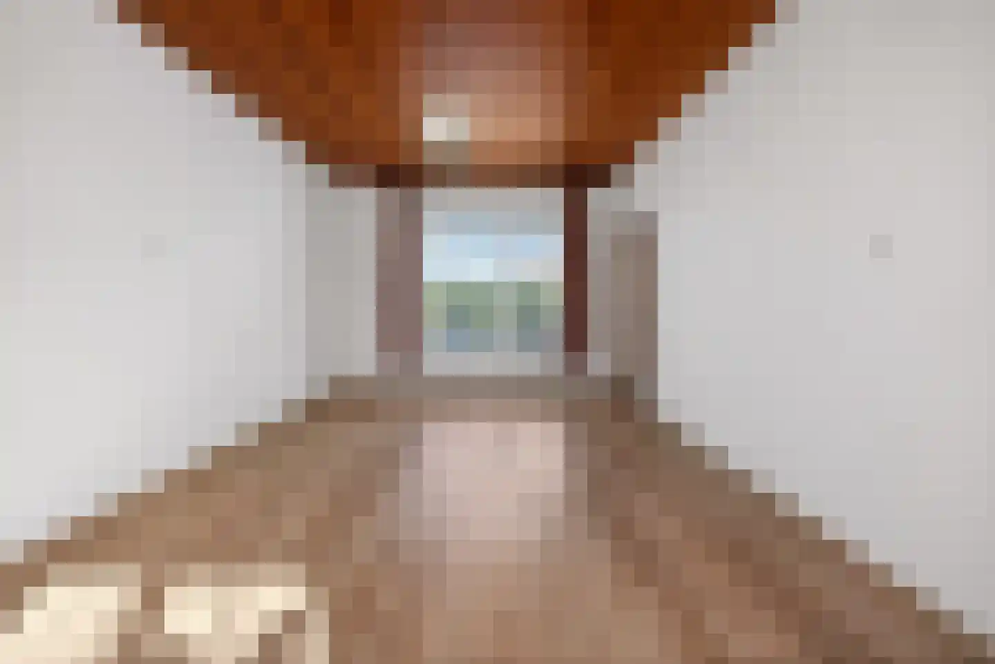 Burgemeester Bouwensweg 2 Horssen thumbnail 16