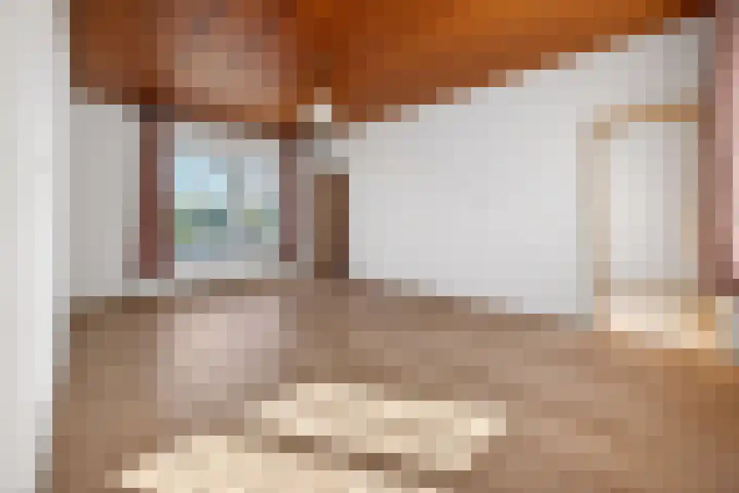Burgemeester Bouwensweg 2 Horssen thumbnail 17
