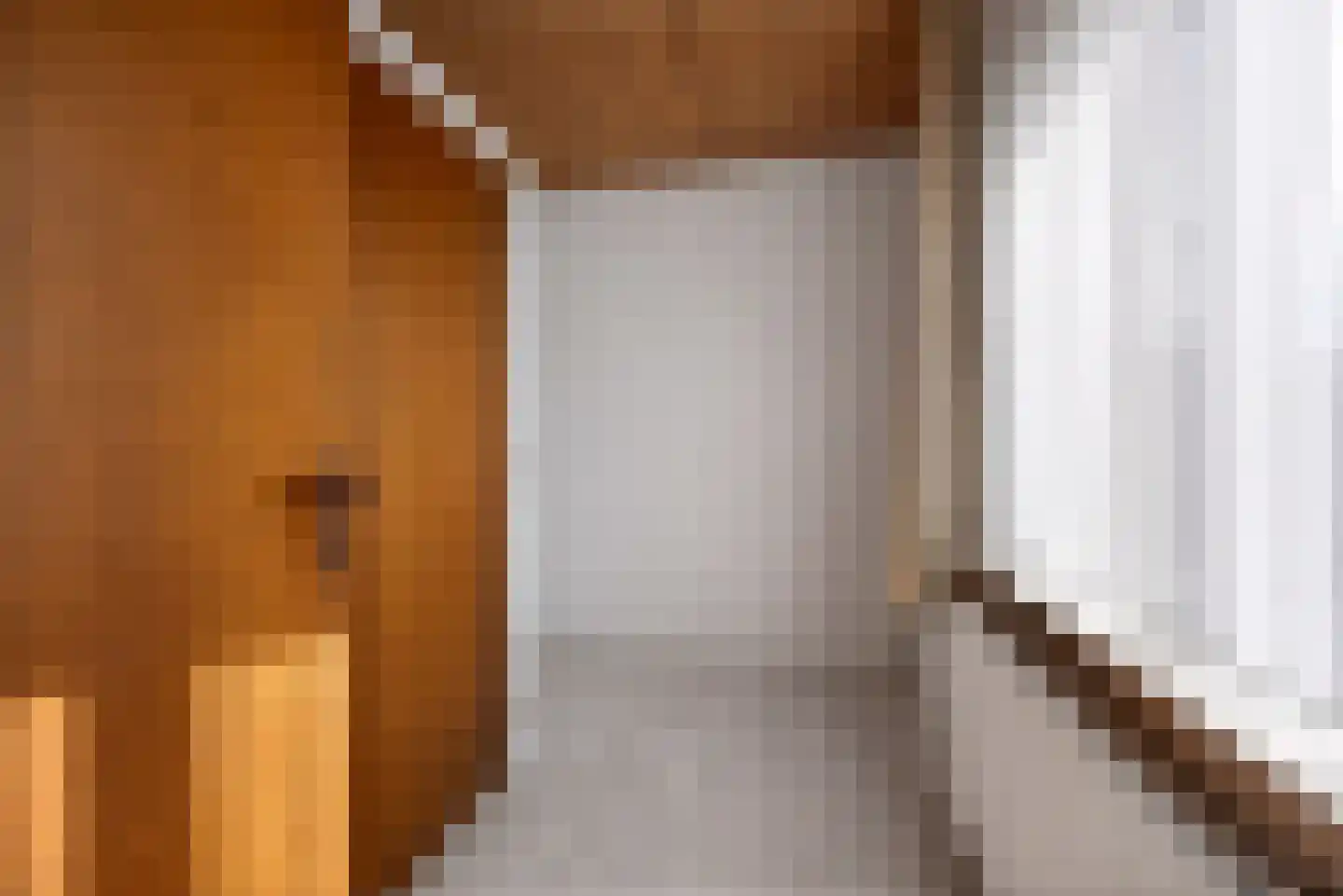 Burgemeester Bouwensweg 2 Horssen thumbnail 21