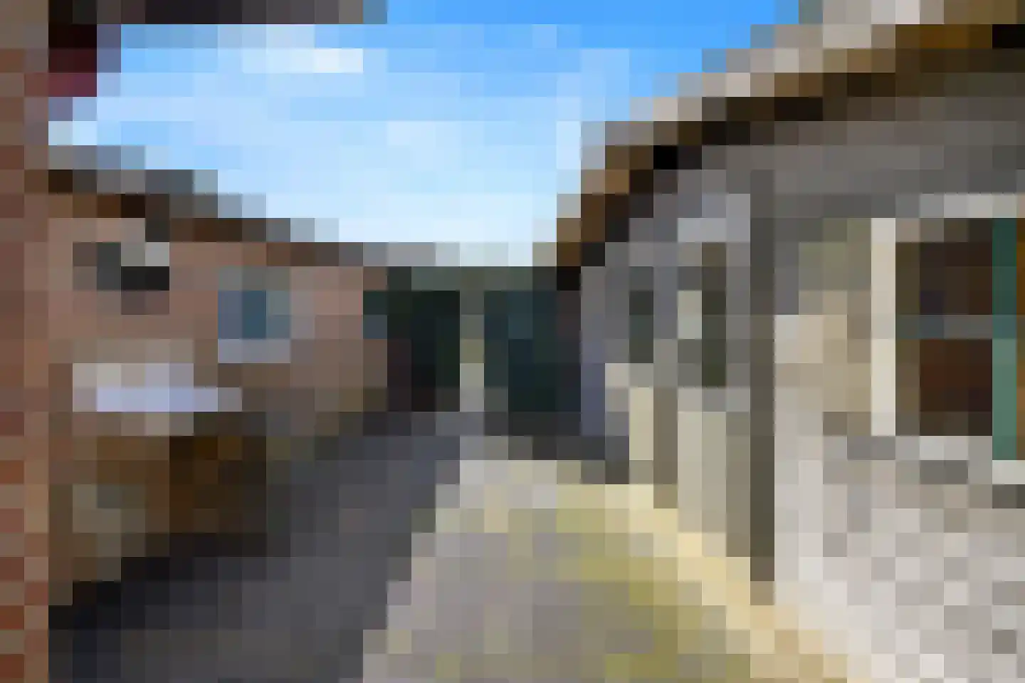 Burgemeester Bouwensweg 2 Horssen thumbnail 25