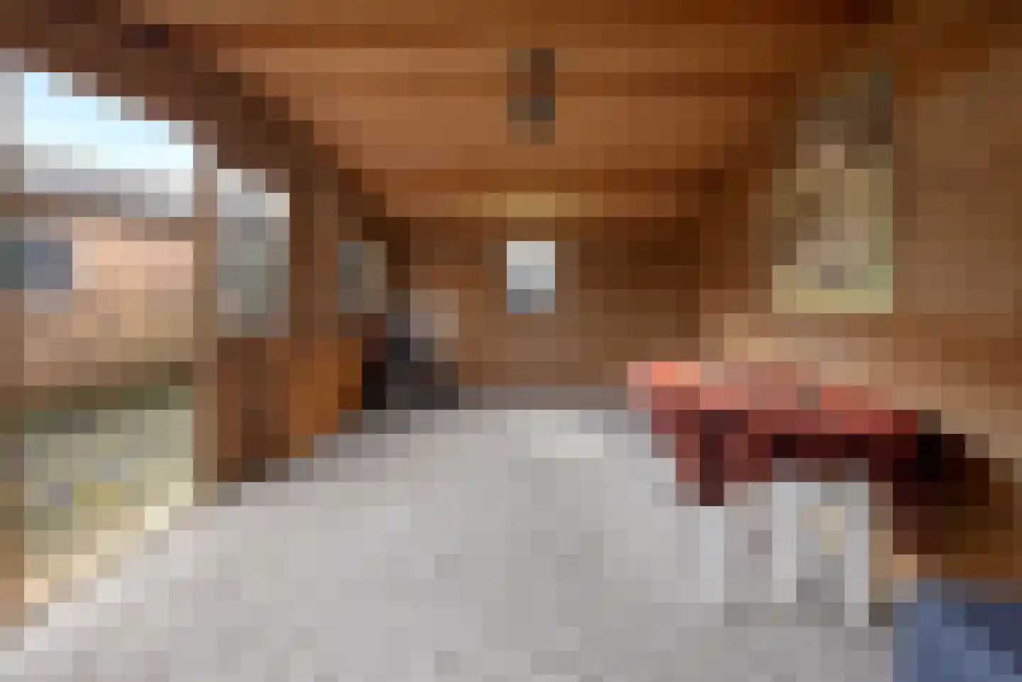 Burgemeester Bouwensweg 2 Horssen thumbnail 26