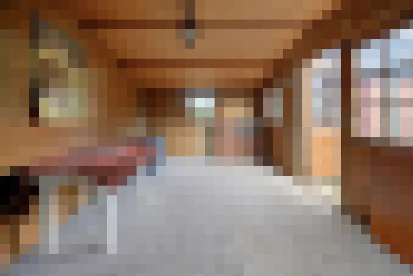 Burgemeester Bouwensweg 2 Horssen thumbnail 27