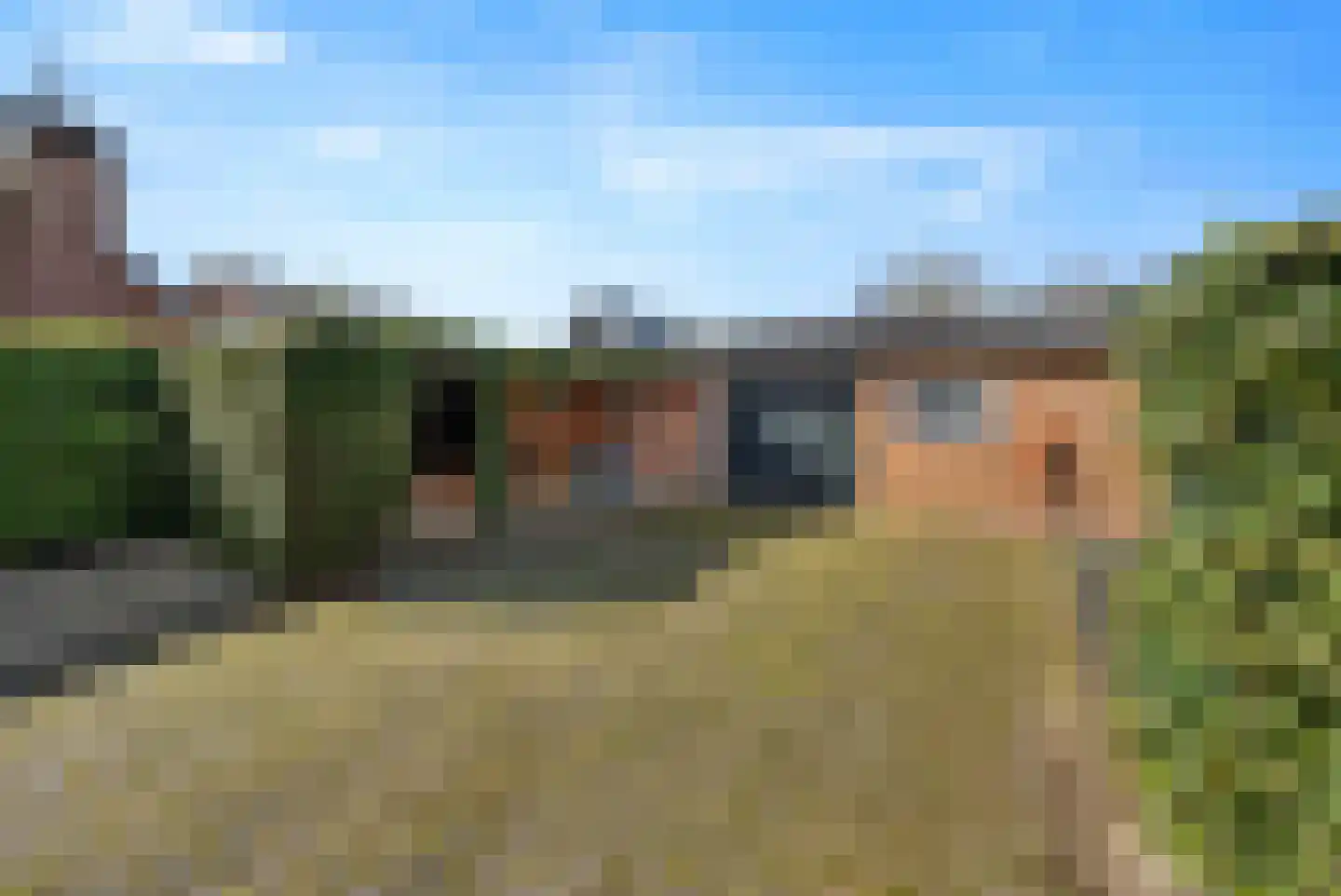 Burgemeester Bouwensweg 2 Horssen thumbnail 30