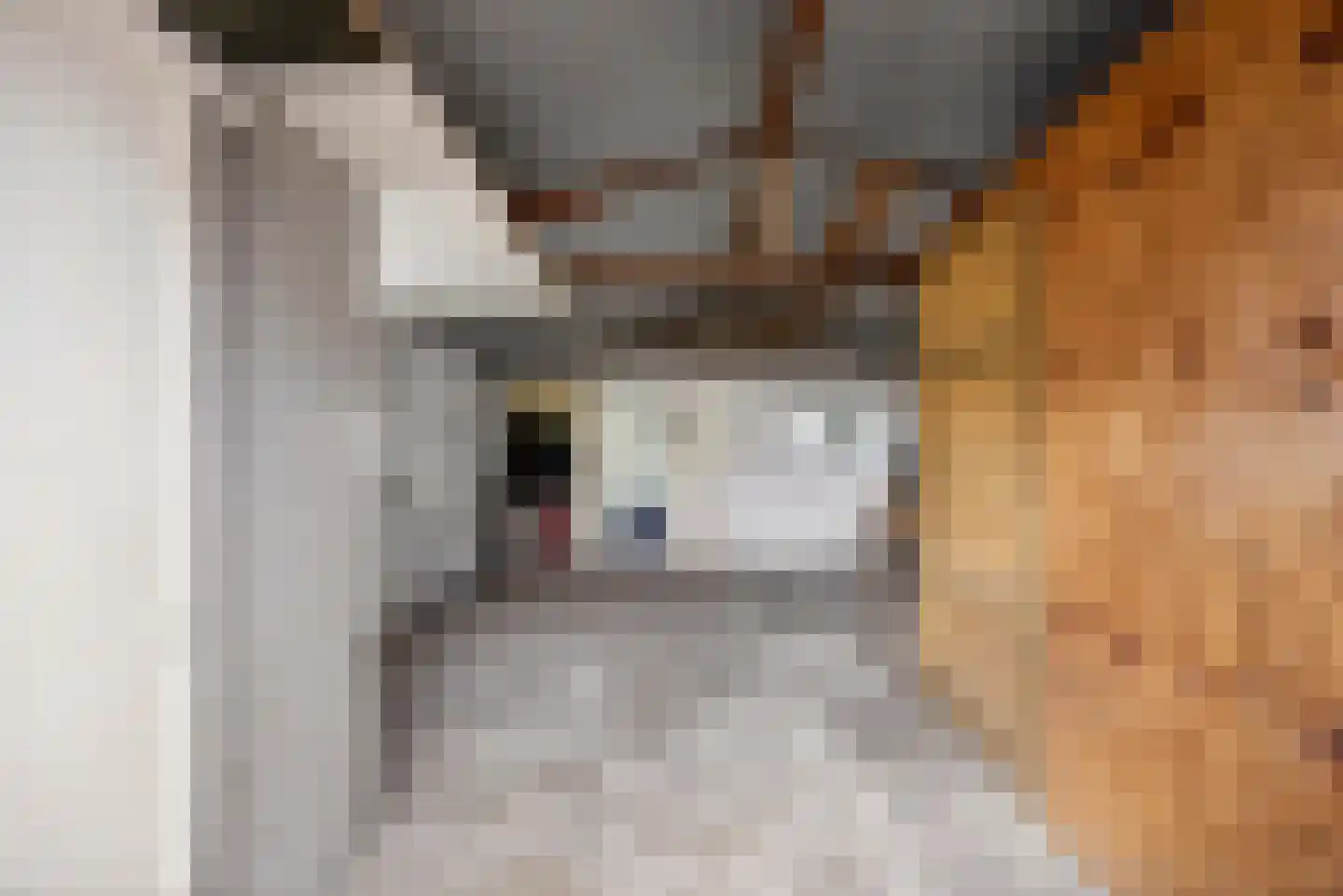 Burgemeester Bouwensweg 2 Horssen thumbnail 32