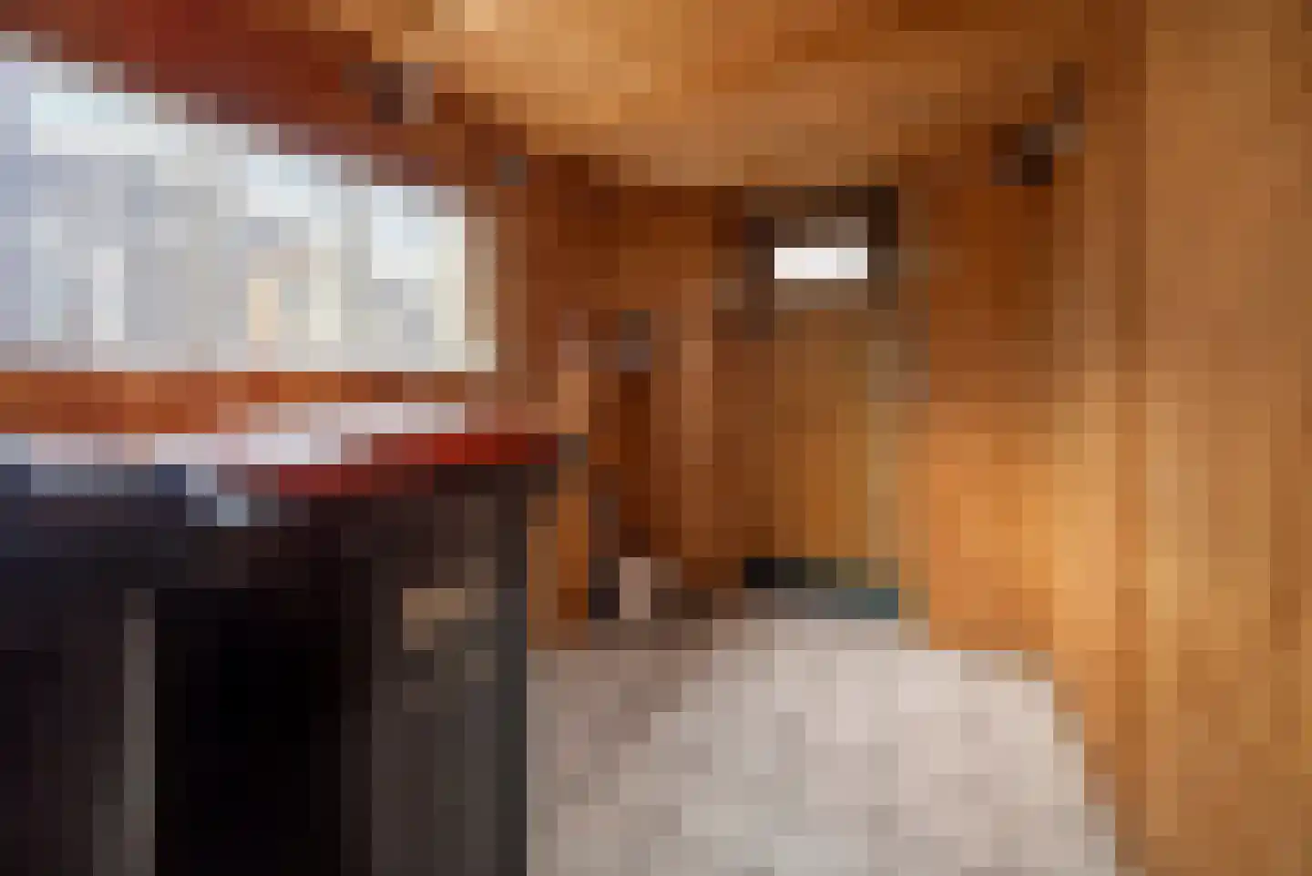 Burgemeester Bouwensweg 2 Horssen thumbnail 34