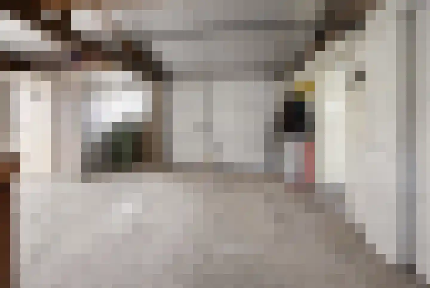 Burgemeester Bouwensweg 2 Horssen thumbnail 35