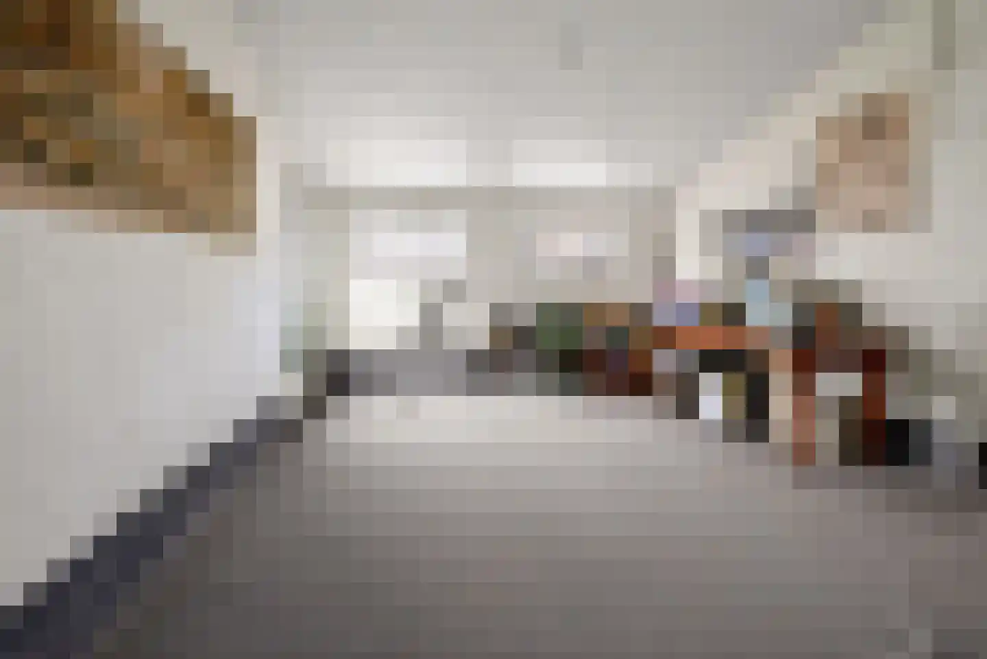 Burgemeester Bouwensweg 2 Horssen thumbnail 37