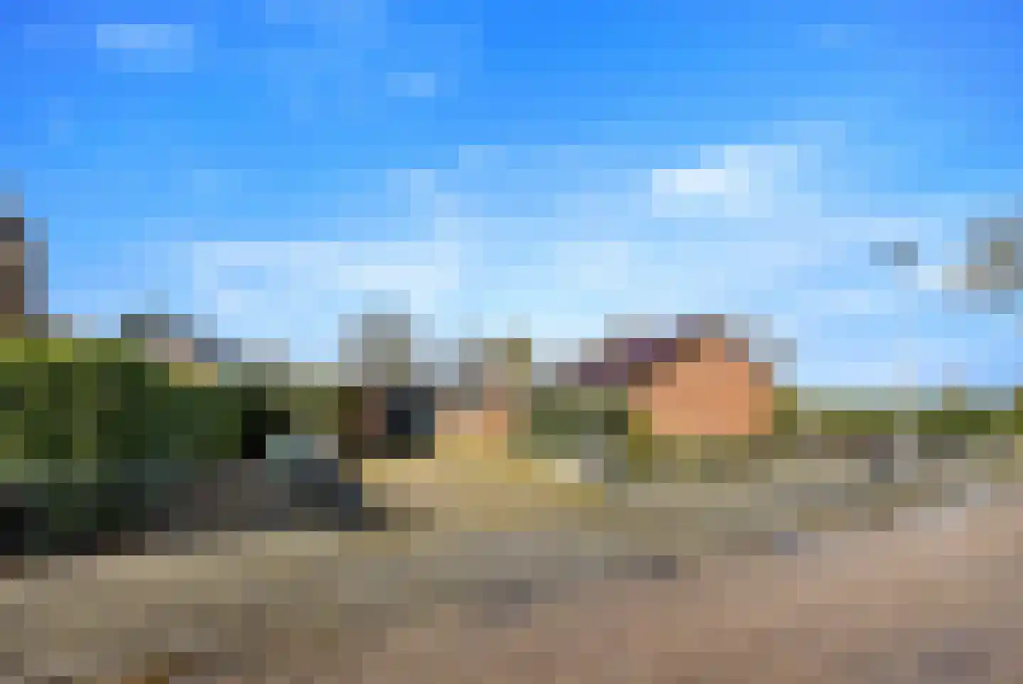 Burgemeester Bouwensweg 2 Horssen thumbnail 38