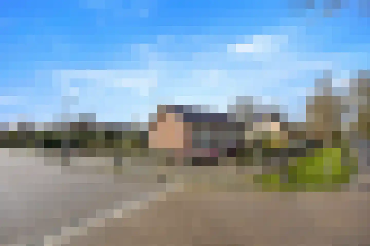 Burgemeester Bouwensweg 2 Horssen thumbnail 40