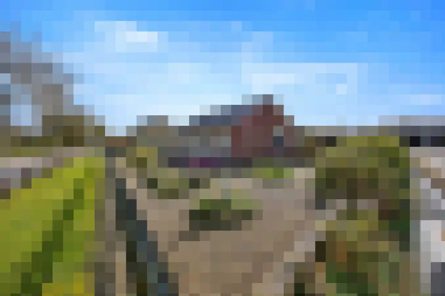 Burgemeester Bouwensweg 2 Horssen thumbnail 42