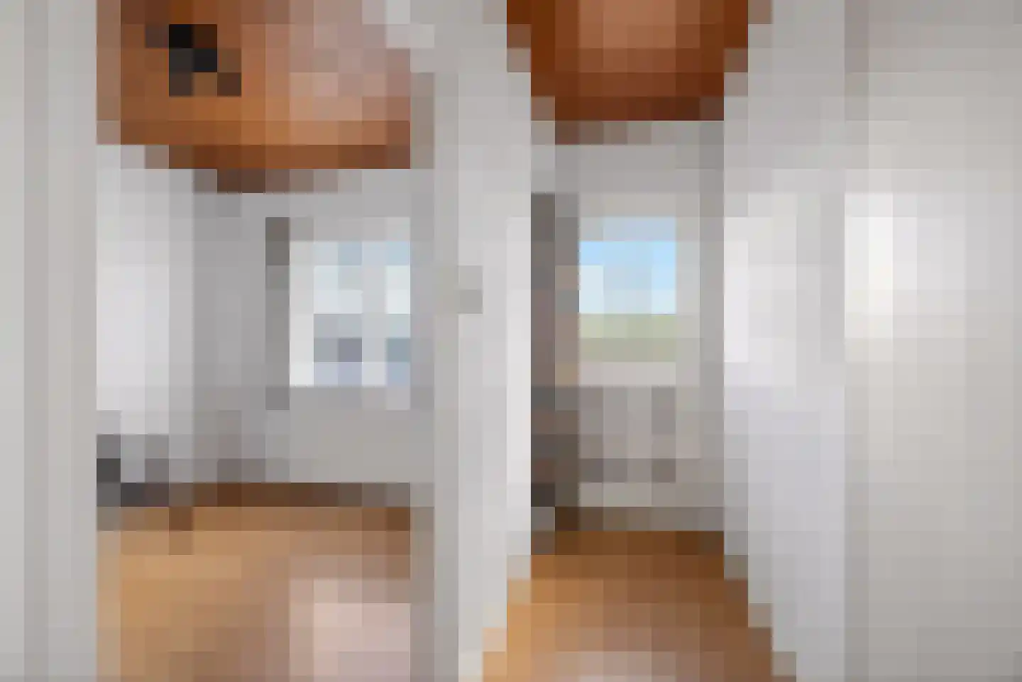 Burgemeester Bouwensweg 2 Horssen thumbnail 5
