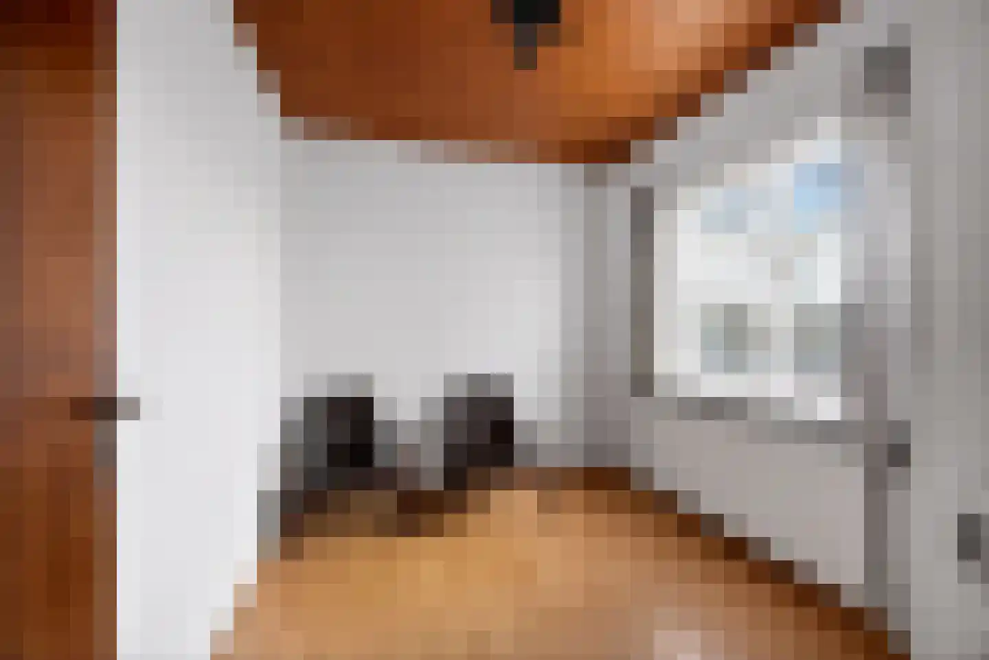 Burgemeester Bouwensweg 2 Horssen thumbnail 6