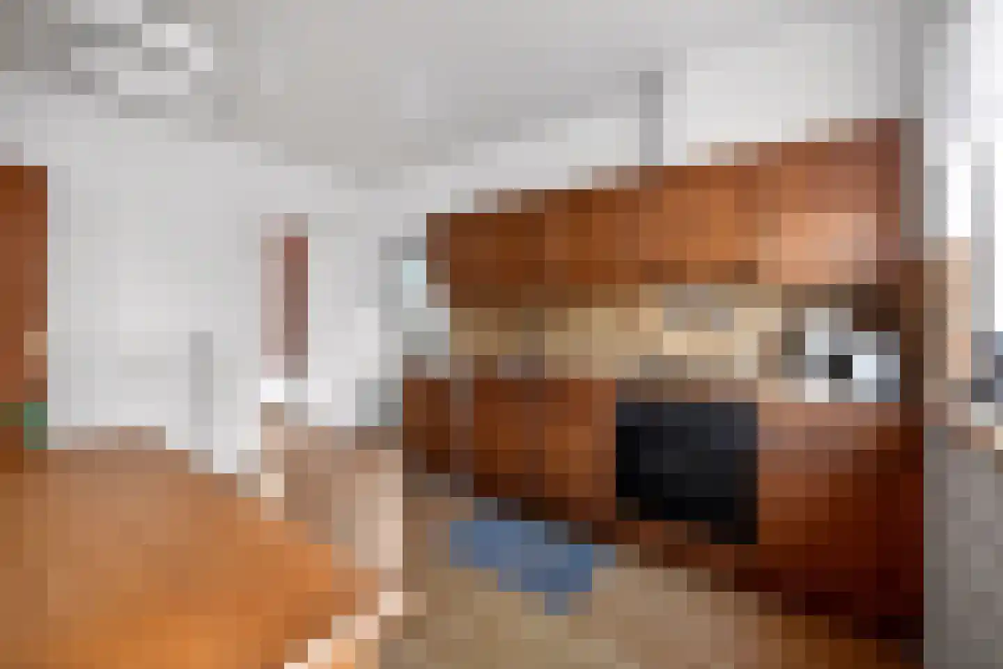 Burgemeester Bouwensweg 2 Horssen thumbnail 9