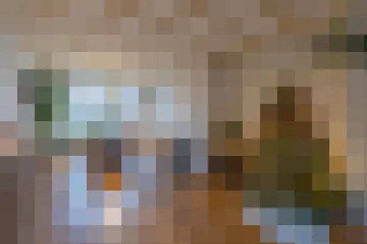 Burgemeester Bouwensweg 21 Horssen thumbnail 10