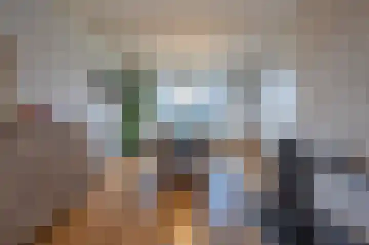 Burgemeester Bouwensweg 21 Horssen thumbnail 12