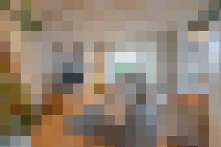 Burgemeester Bouwensweg 21 Horssen thumbnail 13