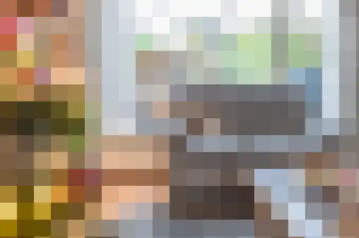 Burgemeester Bouwensweg 21 Horssen thumbnail 14