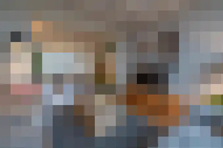 Burgemeester Bouwensweg 21 Horssen thumbnail 18