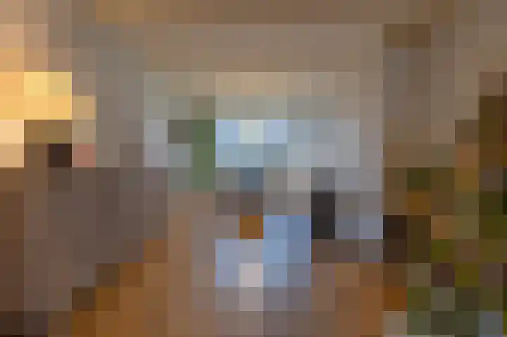 Burgemeester Bouwensweg 21 Horssen thumbnail 19