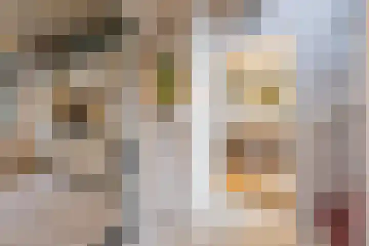 Burgemeester Bouwensweg 21 Horssen thumbnail 20