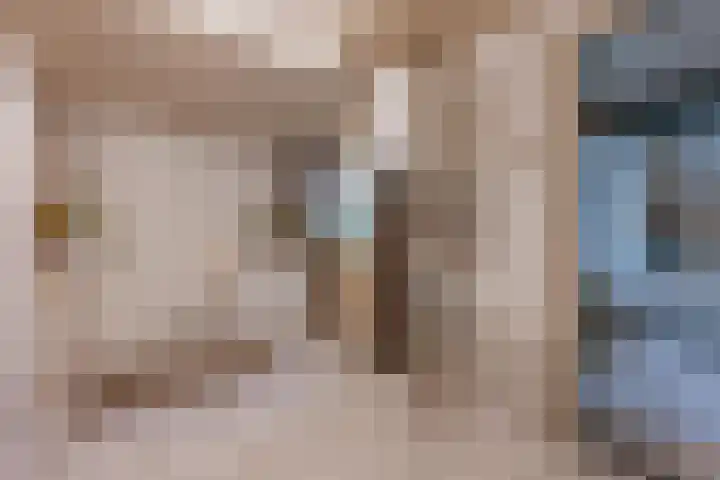 Burgemeester Bouwensweg 21 Horssen thumbnail 27