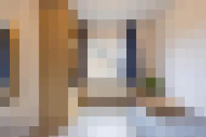 Burgemeester Bouwensweg 21 Horssen thumbnail 36