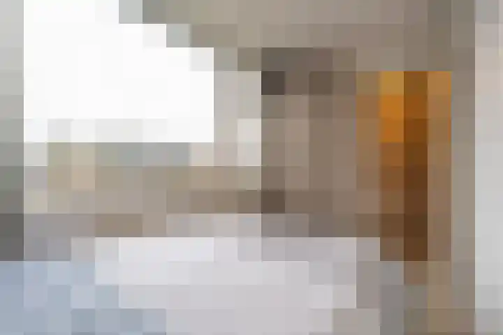 Burgemeester Bouwensweg 21 Horssen thumbnail 38