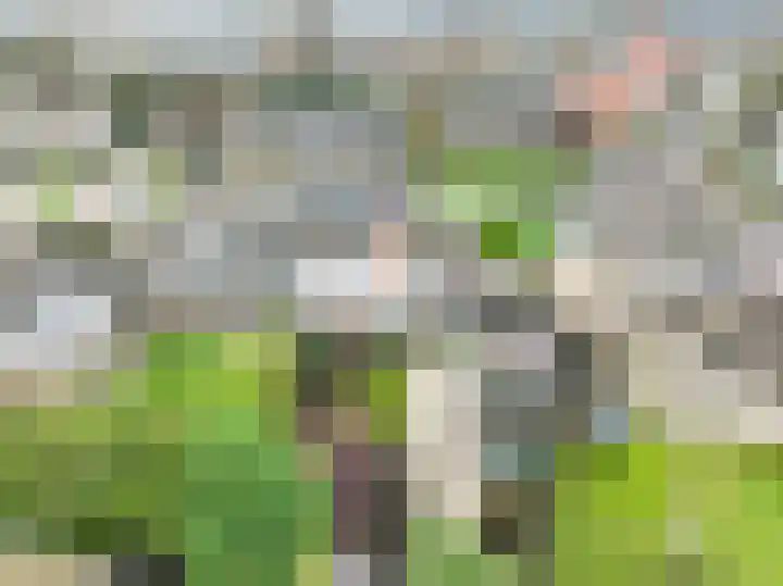 Burgemeester Bouwensweg 21 Horssen thumbnail 42