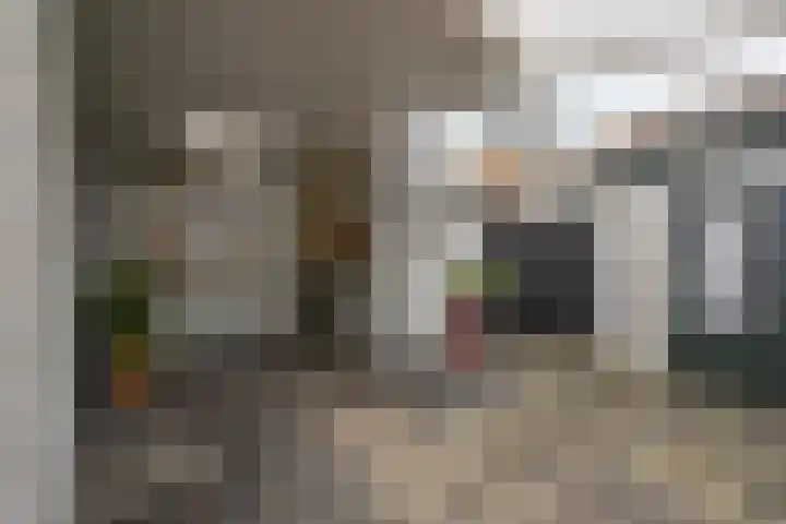 Burgemeester Bouwensweg 21 Horssen thumbnail 46