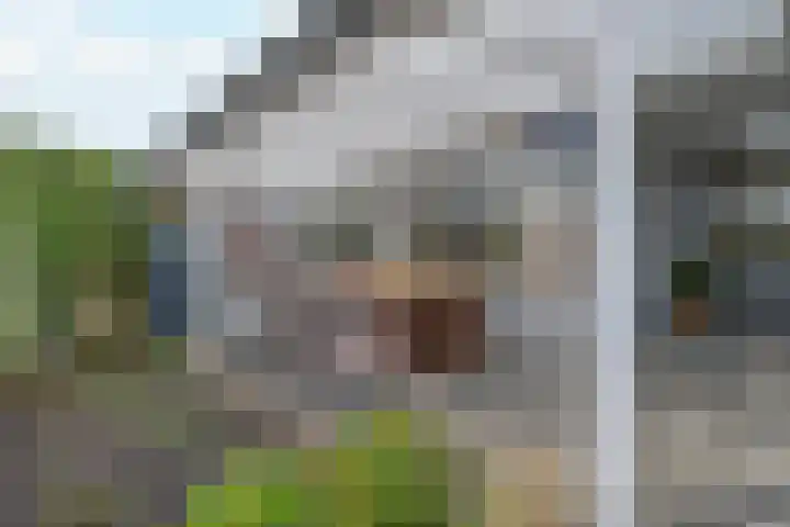 Burgemeester Bouwensweg 21 Horssen thumbnail 47
